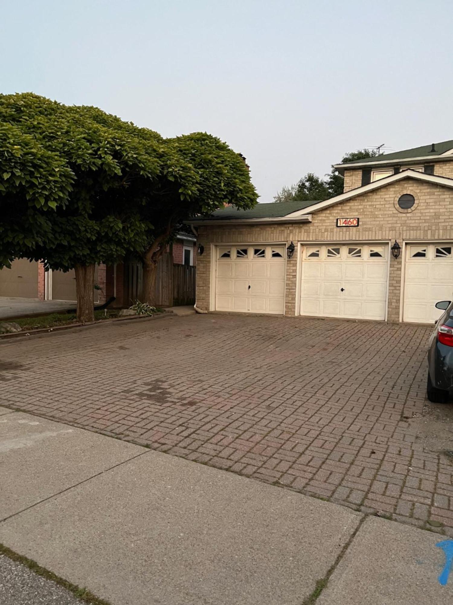 Comfortable Basement In Oakville, Ontario , Canada Apartment *