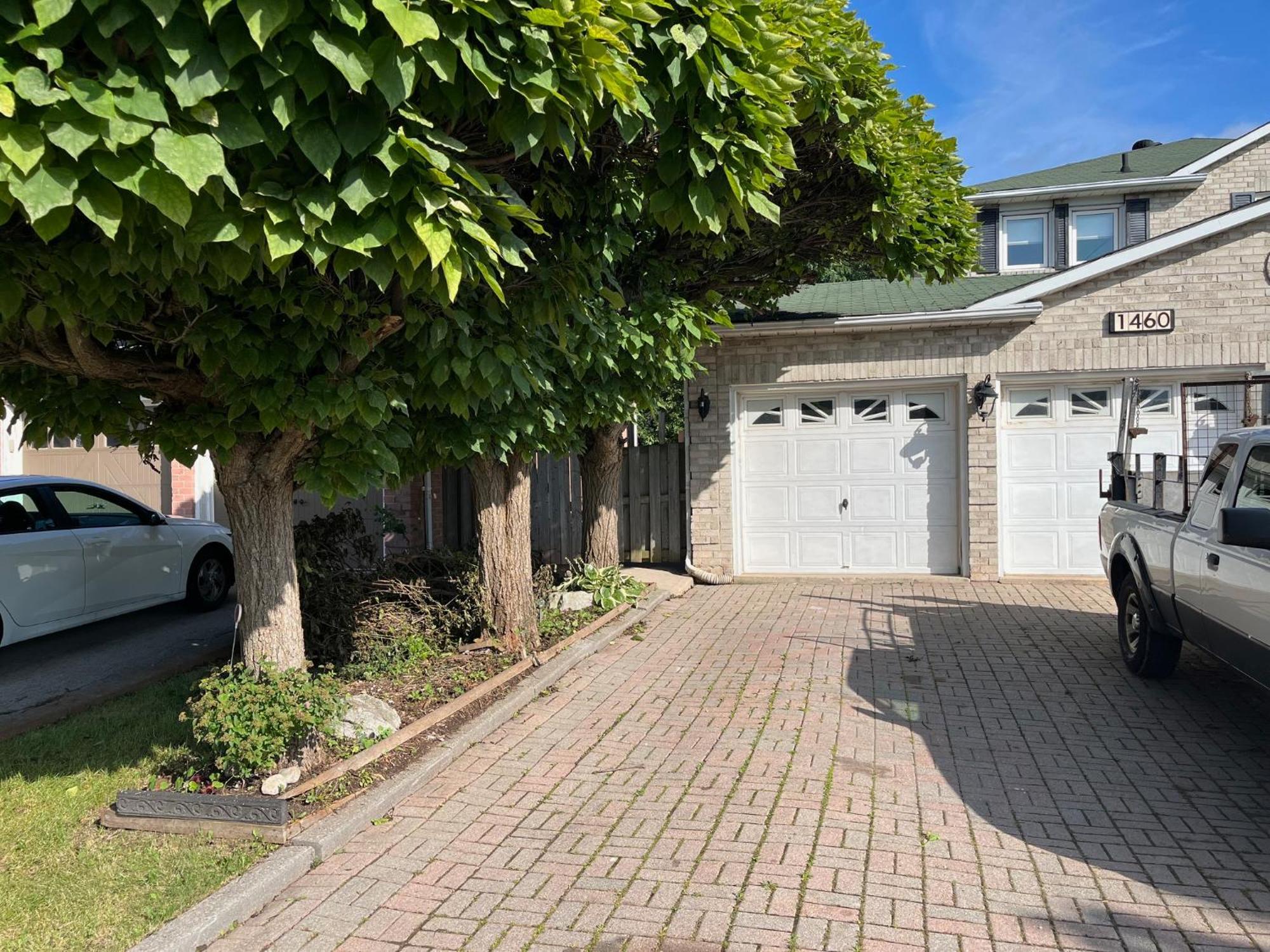 Comfortable Basement In Oakville, Ontario , Canada Apartment Oakville